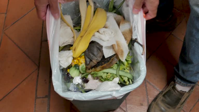 Best Construction Debris Removal  in Drexel Heights, AZ